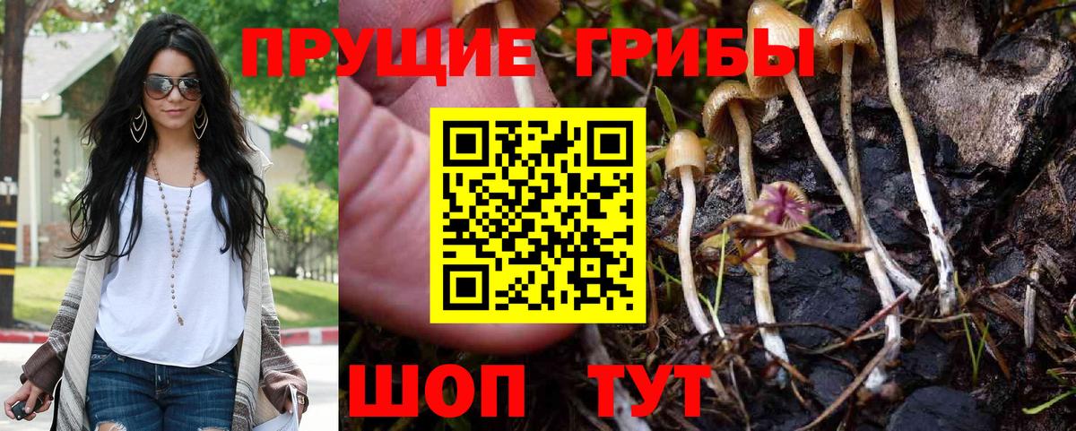 Галлюциногенные грибы Psilocybe  Вход с VPN  Фурманов 